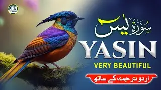 Surah Yaseen with Urdu Translation | Qari Abdul Basit | Heart Touching Tilawat
