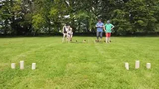 Tournament of Knights