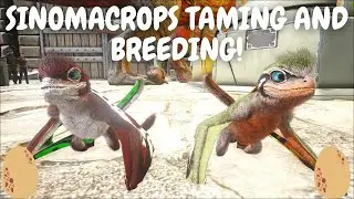 I chased Sinomacrops for half a day to tame! | Episode 11 | Lost Island | Ark Evolved | @caberzikis