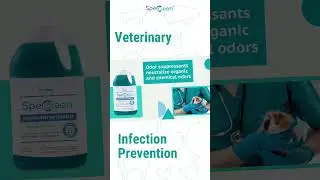 Veterinary Infection Prevention from MicroCare Spec Clean #shorts #vet