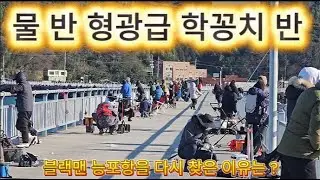 형광급학꽁치 대물감성돔 블랙맨과 떠나는  즐거운 여행 조과