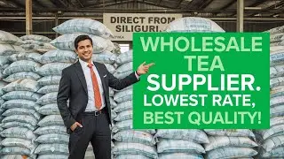Bulk Tea Supplier | Premium Quality at Lowest Rate #tea #wholesale #business #ctc #darjeelingtea #t