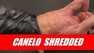Canelo Alvarez shredded abs | How to get an 8 pack