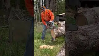 Jonsered 670 Champ Chainsaw #chainsaw #jonseredchainsaw #stihlchainsaw #husqvarnachainsaw