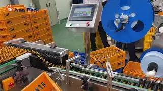 MT-300 High-Speed Vial Labeling Machine