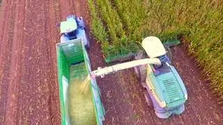 Maisernte 2020 - Krone, Fendt, New Holland - Silo