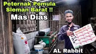 #93 Peternak Kelinci Pemula Sleman ⁉️ Mas Dias ‼