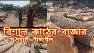বিশাল কাঠের বাজার|টাঙ্গাইল|wood market|@somoyerkhotha38