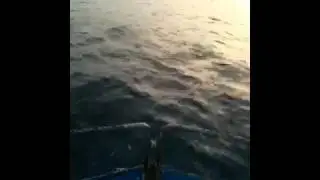 S&eacute;rie Peche