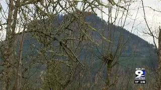 Lowell couple stranded on mountain road