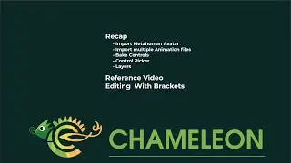 04 Reference Video and Editing Brackets