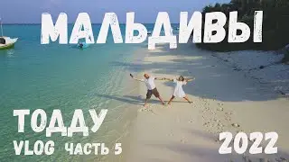 Мальдивы VLOG. Цены на Тодду. январь 2022 #thoddoo