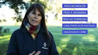 Cia Azul