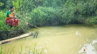 Amazing fishing video 🐬 ✅ || The smart beautiful lady fish hunting in little pond 🎣