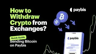 Как отправлять и выводить биткоины или альткоины на Paybis? | Пошаговое руководство