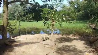 Dekhun bondhura village vlog niya cole aslam
