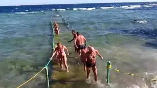 🔴🔴 Подводный мир в Dreams Vacation Resort Sharm El Sheikh 4*.  Снорклинг.