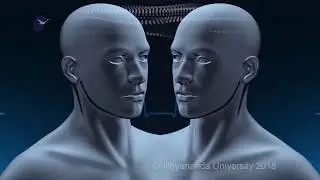 STATIC MATTER DYNAMIC ACTIVITY STRATEGIC EXISTENCE - DOCUMENTARY