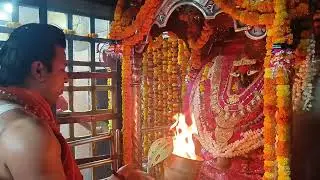 आदिशक्ति माँ विंध्यवासिनी मध्यह्न राजश्री आरती दर्शन।