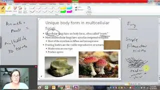 Fungi Intro 1