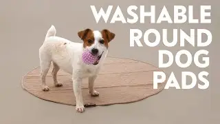Washable Round Dog Pads | Reusable Pee Pads | Paw Inspired&reg;