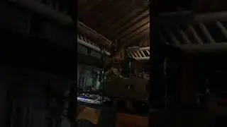 whole lotta love Led zeppelin cover(guitar & vocal collaboration with effect)