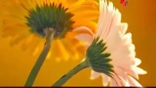 Zaboor 62 || Khudawand Nu Udikidi Reh ||  Psalm 62