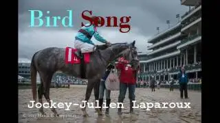 The Stephen Foster Handicap 2017 The Field