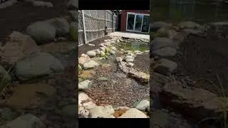 Transforming A Boring Garden Area Into A Brilliant Water Feature  #garden #ponds #shorts #asmr