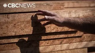 Правительство Британской Колумбии развернет антитарифную рекламу в ноябре
