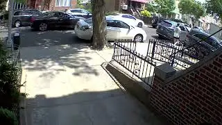 Marking the Tree in Front of my House Again