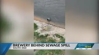 South End brewery behind sewage spill