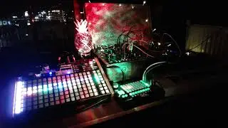 Mutable Instruments Rings (Eurorack) into the Synthstrom Deluge