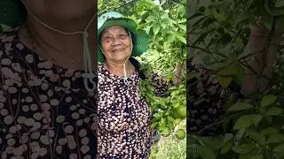 Mom Loves My Brother&rsquo;s Orange Farm #shortvideo #shorts #travel #orangefarm