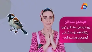 هێلانەی منداڵان؛ بۆ خزمەتی منداڵی کورد ڕۆژانە ڤیدیۆ بە زمانی کوردی دروستدەکەن