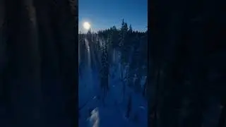 Moonlit Snowy Forest 🌲❄️ | Peaceful Winter Night in 4K #nature  #relaxing