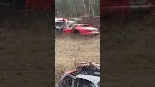 Scharf Automotive Viper GRAVEYARD #cars #sad #dreams
