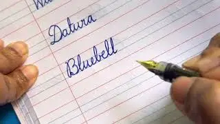 How to write flower names in beautiful English cursive handwriting|Cursive writing practice abcd