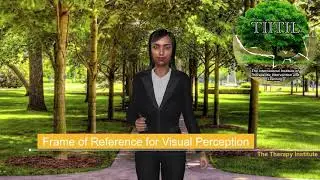 Visual Perception Frame of Reference - An Occupational Therapy Frame of Reference Review