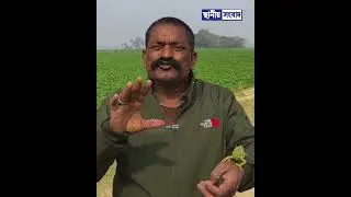এর দাম নাকি কোটি টাকা, আসলেই কি তাই?