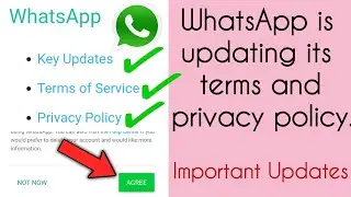 WhatsApp is updating its terms and privacy policy | Important updates on WhatsApp | WhatsApp Policy