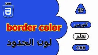 شرح CSS border color مع استخدام border shorthand