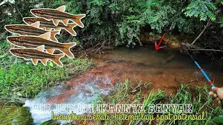 🔴AIR JERNIH IKANNYA BANYAK,KETEMU SPOT POTENSIAL SELUANG BABON LAGI ||🍃🎣 #microfishing  