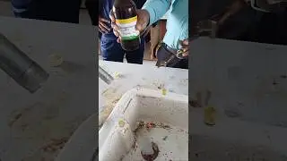 Bromine Water: The Scariest Chemistry Experiment #shorts #shortsfeed #trending #Chemistry