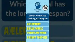 Which animal has the longest lifespan?