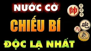 Cờ tướng đỉnh cao nước cờ chiếu bí độc lạ nhất thế kỷ xem mà rùng mình