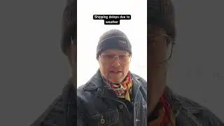 Shipping Delays