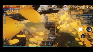 Gingko Valley Request : 