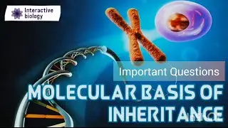 Biology Most Important Questions | HSC Board | Chapter 5 Molecular basis of Inheritance