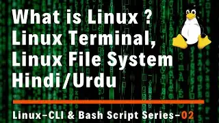 Linux CLI and Bash Scripting Series - What is Linux?  Linux Terminal, Linux File System Hindi/Urdu